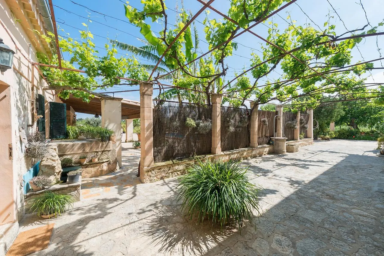 Finca - Agroturisme Sa Parellada ビニボナ 4*,